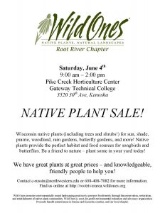 Wild Ones sale flyer 2016
